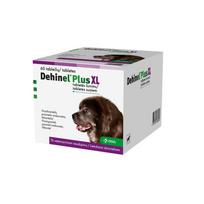 Dehinel Plus XL tabletės nuo kirminų didelių veislių šunims, 1 tabl.