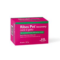 NBF Lanes Ribes Pet Recovery pašaro papildas šunims ir katėms, 60 tabl.
