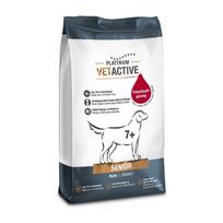 Platinum VetActive Senior sausas pašaras su vištiena vyresnio amžiaus šunims, 1.5 kg