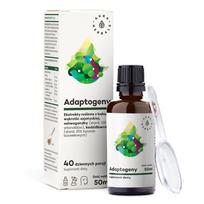 AURA HERBALS Adaptogenai - bakopa, centažolė, ašvaganda, smilkalai - 50 ml