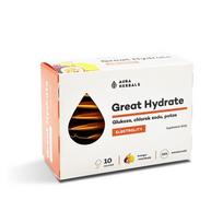 AURA HERBALS Great Hydrate – elektrolitai – mango ir pasiflorų skonio (10 vnt.)
