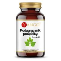 YANGO maltos šeivamedžio uogos - 90 kapsulių