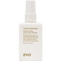 EVO - STYLE MISTER FANTASTIC BLOWOUT SPRAY Plaukų vaškas ir kremai 50 ml unisex