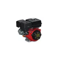Powerac PR177F benzininis variklis