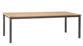 Sodo stalas MONTANA 220x100xH74cm, tikmedis, nerūdijantis plienas su milteliniu dažymu