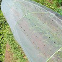 1,5 m / 1,8 m Šiltnamio pralaidi plastikinė permatoma plėvelė Sodo žemės ūkis Vaisių sodas Daržovių auginimo danga Plėvelė 2 M 2m x 1.5m(L x w)