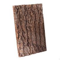 Fonas, Buveinių dekoravimas, Daugiafunkcis kamštienos plytelių fonas, Laipiojimo kilimėlis vėžliui, , Barzdotas 20cmx30cm