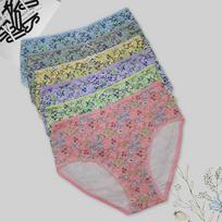 Didelio dydžio apatinis trikotažas moterims Medvilninės vidutinio aukščio kelnaitės Mielos Bow Dots Moteriškos kelnaitės apatinis trikotažas 6 vnt/komplektas 2XL įvairiaspalvis