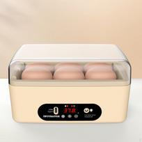 Perykla su „Light Brooder“ skaitmeniniu kiaušiniu balandžių antims perinti 4 Manual Egg Turning