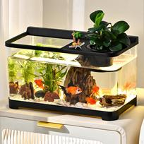 Akvariumas Betta Žuvims Ir Ropliams, 34x21x20 Cm, Skaidrus Dizainas juoda