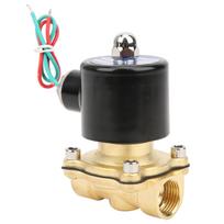 G12 colio žalvarinis solenoidinis vožtuvas vandens slėgis Normaliai uždarytas Tiesioginio veikimo 2W?160?15AC220V