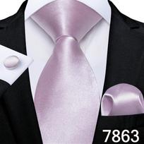 Vyriškas kaklaraiščio baltos gėlės sagės rinkinys Korso atvarto segtukas Boutonniere oficialaus verslo kaklaraiščio rinkinys N-7863