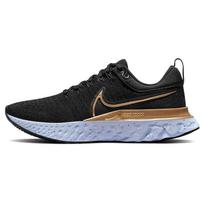 Nike React Infinity Run Flyknit 2 Juodos Metalo Aukso Moteriški Sportbačiai Ghost Dark-Smoke-Grey CT2423-009 35.5