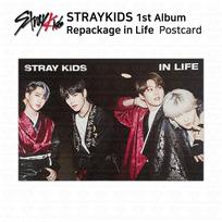 Stray Kids 1-ojo albumo perpakavimas gyvenime Vieneto fotokortelė Atvirukas KPOP K-POP Unit #02
