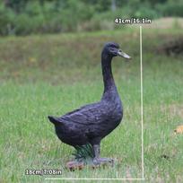 Plaukiančiojo ančiuko dervos ornamentas vidaus/lauko sodui, kiemui ar sodybos dekoravimui.