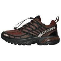 Salomon Acs Pro Gore-Tex Patogūs Universalūs Neslystantys Patvarūs Žemi Bėgimo Takais Batai Unisex Sportbačiai Rudi 477364 44