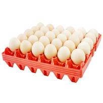 4 plastikinių kiaušinių padėklų, kiaušinių dėžučių, 30 kiaušinių tablečių pakuotė, tinka vištų auginimui namuose Pack of 4 raudona