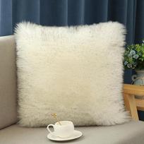 Plaunamas pliušinis dirbtinės vilnos pagalvės užvalkalas sofai Pillow Insert for Cover