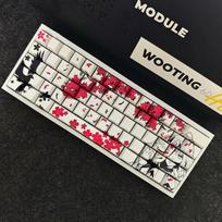 Sakura Makima PBT Šoninio Graviravimo Skaidrios Anime Klavišų Dangteliai 87/108/68/75 Išdėstymams sakura mergaitė raudonas gradientas - šoninis graviruotas klavišų dangtelių rinkinys (tik klavišų dangteliai) spalva