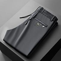 Men's Summer Plus Size Casual Straight Leg Pants, Youth Stretch Elastic Waist Thin Sports Pants L šviesiai pilka spalva