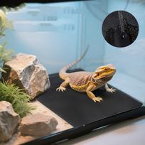 EVA roplių substratas, pjaustomas, nekilnojamasis terariumo kilimėlis driežams, gekonams, raguotoms varlėms one size juoda
