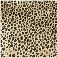 100x150cm Auksinio aksomo audinys su gyvūnų raštais Tigro, Leopardo, Zebrų raštais Sofos, Žaislų, Kostiumų audinys 100x150cm