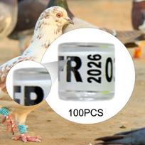100 vnt. aliuminio balandžių kojos žiedų identifikavimo juostelės balandžiams meilės paukščiams White France