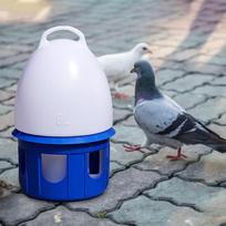 Automatinis paukščių vandens dozatorius, šėrimas lauke, pakabinamas tiektuvo puodo konteineris 6L D 19cm H 35CM