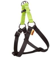 Dingo Energy Silver diržai šuniui, 1,6/50cm, žali