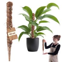 Kokoso atrama augalams, 45 cm