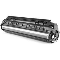 Kasetė lazeriniui spausdintuvui Konica Minolta Developer unit DV313K / A7U403D Black (A7U403U)