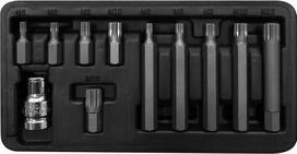 Proline antgalių rinkinys 3/8" Spline M5-m12, 11 vnt.