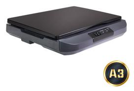 AVISION Flatbed Scanner  FB5100 A3 | 493136  | 4713494653992