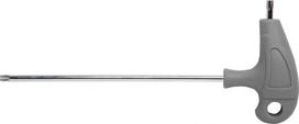 Torx T6 Proline rankinis raktas