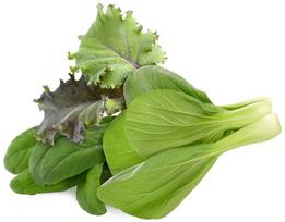 Click & Grow Plant Pod Asian Greens Mix 9pcs