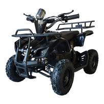 Swoop elektrinis ATV Ranger 1000W