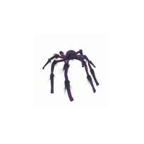 Voras violetinės spalvos