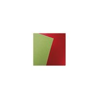Tekstūrinis kartonas HOLLAND green, A4 220gsm