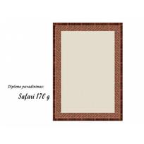 Dekoratyvinis spalvotas popierius "SAFARI" 170 g 25 lapai