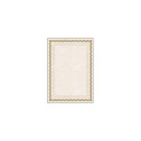 Dekoratyvinis spalvotas popierius "ARKADY ZLATA" 170 g 25 lapai