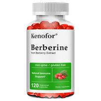 Berberinas HCL 500mg 120 vegetariškų kapsulių Maisto papildas 120 capsules