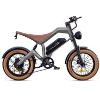 Elektrinis dviratis DYU M20 1000W variklis 20  storos padangos Pilnai amortizuojamas suaugusiųjų elektrinis dviratis Shimano 7 pavarų su NFC 48V 18.2AH
