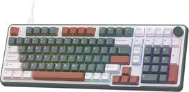 RK ROYAL KLUDGE C98 RGB laidinė magnetinio jungiklio klaviatūra, žalia mišri spalva