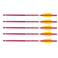 Poe Lang 13" 33 cm Aliumininė arbaleto strėlė, 5 vnt.