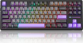 Magegee Light87 Dark Purple, RGB, Blue Whale Switch, US