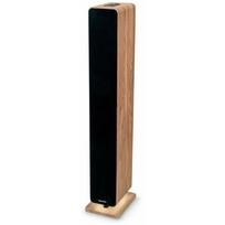 THOMSON SOUND TOWER 120W USB AUX MANDO WOOD DS702 | 3499550389326 | 3499550389326