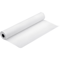 Fotopopierius Epson Premium Glossy C13S041638PA 61cm x 30.5m 260g/m² 1 ritinys