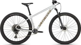 Rockhopper Expert Gloss Silver Dust / Satin Burnt Gold Metallic