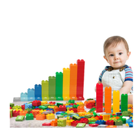 Plastikinių blokų rinkinys (56 blokai + 10 kortelių)