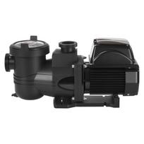 Kintamojo greičio baseino siurblys, 1650 W, 220-240V